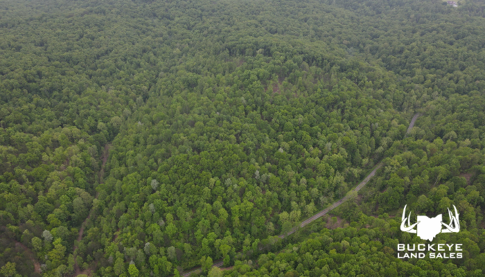 County Road 4 64.6+/- Acres, Pedro, Ohio, 45659
